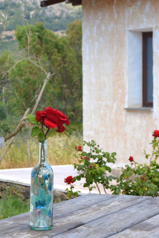 Agriturismo Rubinu Galtellì Zimmer foto