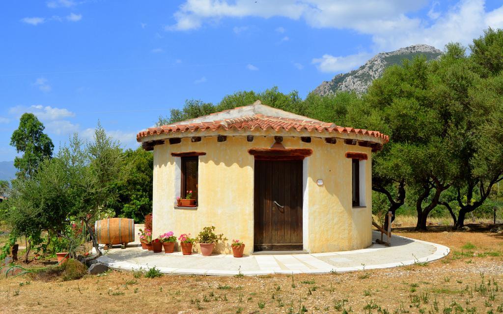 Agriturismo Rubinu Galtellì Zimmer foto